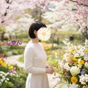 ヒメ日記 2026/04/06 19:38 投稿 じゅん 素人妻達☆マイふぇらレディー