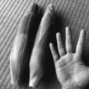 ヒメ日記 2026/02/10 18:43 投稿 ジン OLの品格 クラブアッシュ