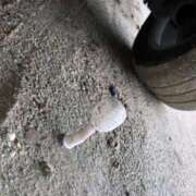 ジン 大丈夫⁉️ OLの品格 クラブアッシュ