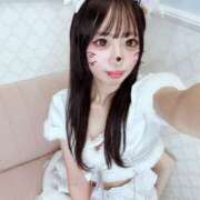 ヒメ日記 2026/01/16 16:41 投稿 りんりん 上野ハンドメイド