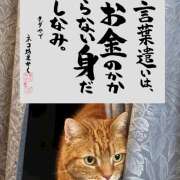 ヒメ日記 2026/05/17 08:08 投稿 ちさと オースリー