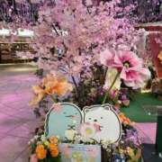 ヒメ日記 2026/03/29 17:10 投稿 しづき リアル 梅田店