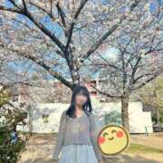 ヒメ日記 2026/04/04 12:10 投稿 しづき リアル 梅田店