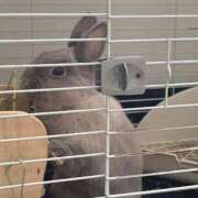 ヒメ日記 2026/01/26 16:33 投稿 のあ 出会い系人妻ネットワーク札幌駅～大通り・すすきの編