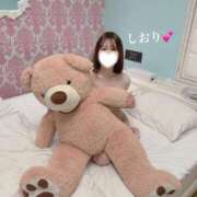 ヒメ日記 2026/02/16 23:15 投稿 詩織/しおり 五反田アネージュ（ユメオト）