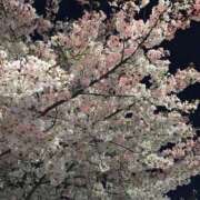 ヒメ日記 2026/04/07 22:52 投稿 あやせ 奥鉄オクテツ大阪