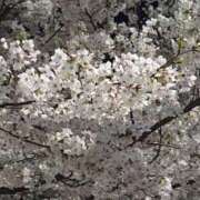 ヒメ日記 2026/04/08 09:03 投稿 あやせ 奥鉄オクテツ大阪