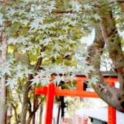 ヒメ日記 2026/09/03 09:12 投稿 あやせ 奥鉄オクテツ大阪