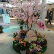 ヒメ日記 2026/04/01 18:14 投稿 みなよ 愛人コレクション