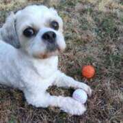 ヒメ日記 2026/02/22 07:15 投稿 さゆり 愛人コレクション