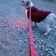 ヒメ日記 2026/03/13 06:17 投稿 さゆり 愛人コレクション