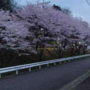 ヒメ日記 2026/04/04 11:52 投稿 さゆり 愛人コレクション