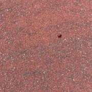 ヒメ日記 2026/03/01 17:46 投稿 のりか 愛人コレクション