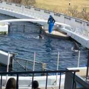 ヒメ日記 2026/03/07 12:36 投稿 のりか 愛人コレクション