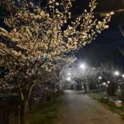 ヒメ日記 2026/04/01 12:06 投稿 のりか 愛人コレクション