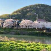 ヒメ日記 2026/04/08 20:24 投稿 のりか 愛人コレクション