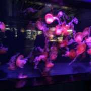 ヒメ日記 2026/04/14 15:41 投稿 のりか 愛人コレクション