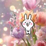 ヒメ日記 2026/02/17 07:34 投稿 ゆうみ 愛人コレクション