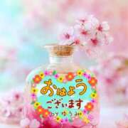 ヒメ日記 2026/03/19 08:30 投稿 ゆうみ 愛人コレクション