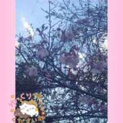 ヒメ日記 2026/03/23 20:06 投稿 ゆうみ 愛人コレクション