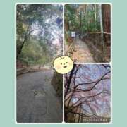 ヒメ日記 2026/03/29 13:21 投稿 ゆうみ 愛人コレクション