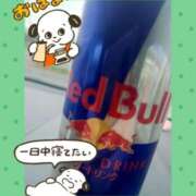 ヒメ日記 2026/04/07 08:29 投稿 ゆうみ 愛人コレクション