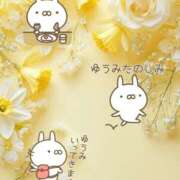 ヒメ日記 2026/05/09 09:33 投稿 ゆうみ 愛人コレクション