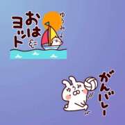 ヒメ日記 2026/10/14 09:56 投稿 ゆうみ 愛人コレクション