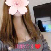 ヒメ日記 2026/02/23 09:29 投稿 りお 愛人コレクション