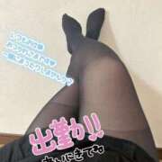 レイナ 出勤してます😊✨ 愛人コレクション