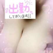 レイナ こんにちはー( *ˊꇴˋ) 愛人コレクション