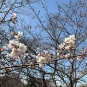 ヒメ日記 2026/03/25 08:47 投稿 由奈 愛人コレクション