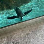 ヒメ日記 2026/02/27 01:09 投稿 あいな 愛人コレクション