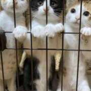 ヒメ日記 2026/03/07 22:10 投稿 あいな 愛人コレクション