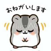 ヒメ日記 2026/02/25 09:59 投稿 あかり 愛人コレクション