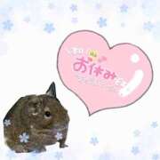 ヒメ日記 2026/03/13 18:54 投稿 あみ 愛人コレクション