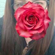 ヒメ日記 2026/01/31 16:29 投稿 にあ 愛人コレクション