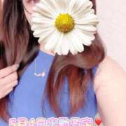 ヒメ日記 2026/05/02 04:53 投稿 にあ 愛人コレクション