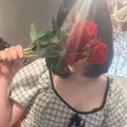 ヒメ日記 2026/01/28 13:00 投稿 さら 人妻本舗愛のしずく名古屋店