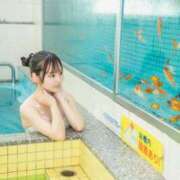 ヒメ日記 2026/02/07 16:01 投稿 にしん【新人割】 素人系イメージSOAP彼女感大宮館