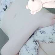 うさ はじめまして💗 2980円