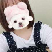 ヒメ日記 2026/04/02 19:01 投稿 さな 新宿・本格コスプレ素人アイドル学園イメクラ「新入生」