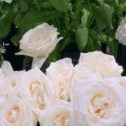 ヒメ日記 2026/03/09 16:30 投稿 春風 れな SUMIRE