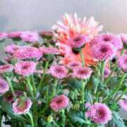 ヒメ日記 2026/03/12 23:17 投稿 春風 れな SUMIRE