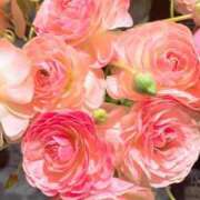 春風 れな 遅番ありがとう🌷次回3月20日16:00居るよ〜💓 SUMIRE