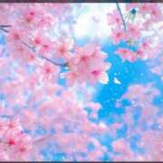 ヒメ日記 2026/03/23 07:15 投稿 春風 れな SUMIRE