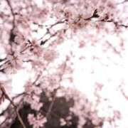 ヒメ日記 2026/03/24 00:55 投稿 春風 れな SUMIRE