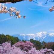 ヒメ日記 2026/03/26 08:42 投稿 春風 れな SUMIRE