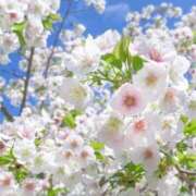 ヒメ日記 2026/03/28 20:18 投稿 春風 れな SUMIRE