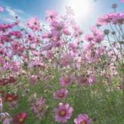 ヒメ日記 2026/03/29 16:38 投稿 春風 れな SUMIRE